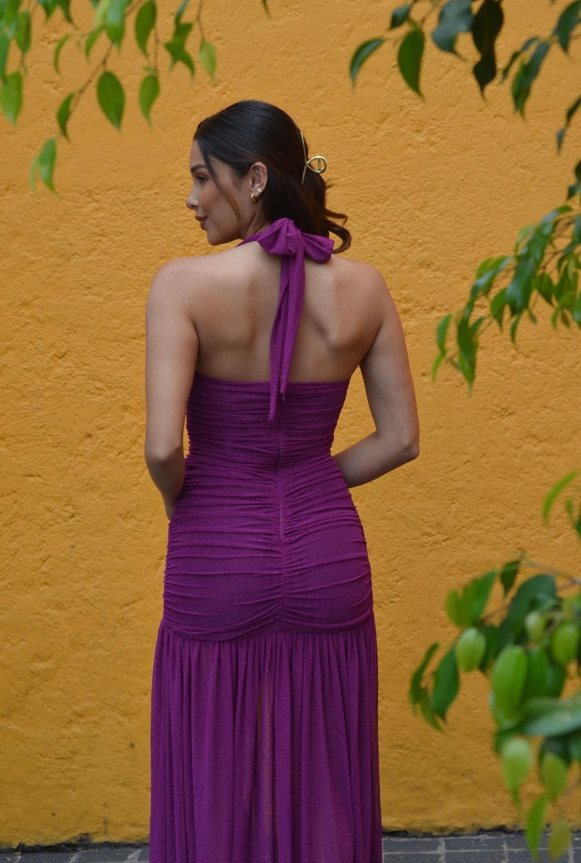 VIOLETA