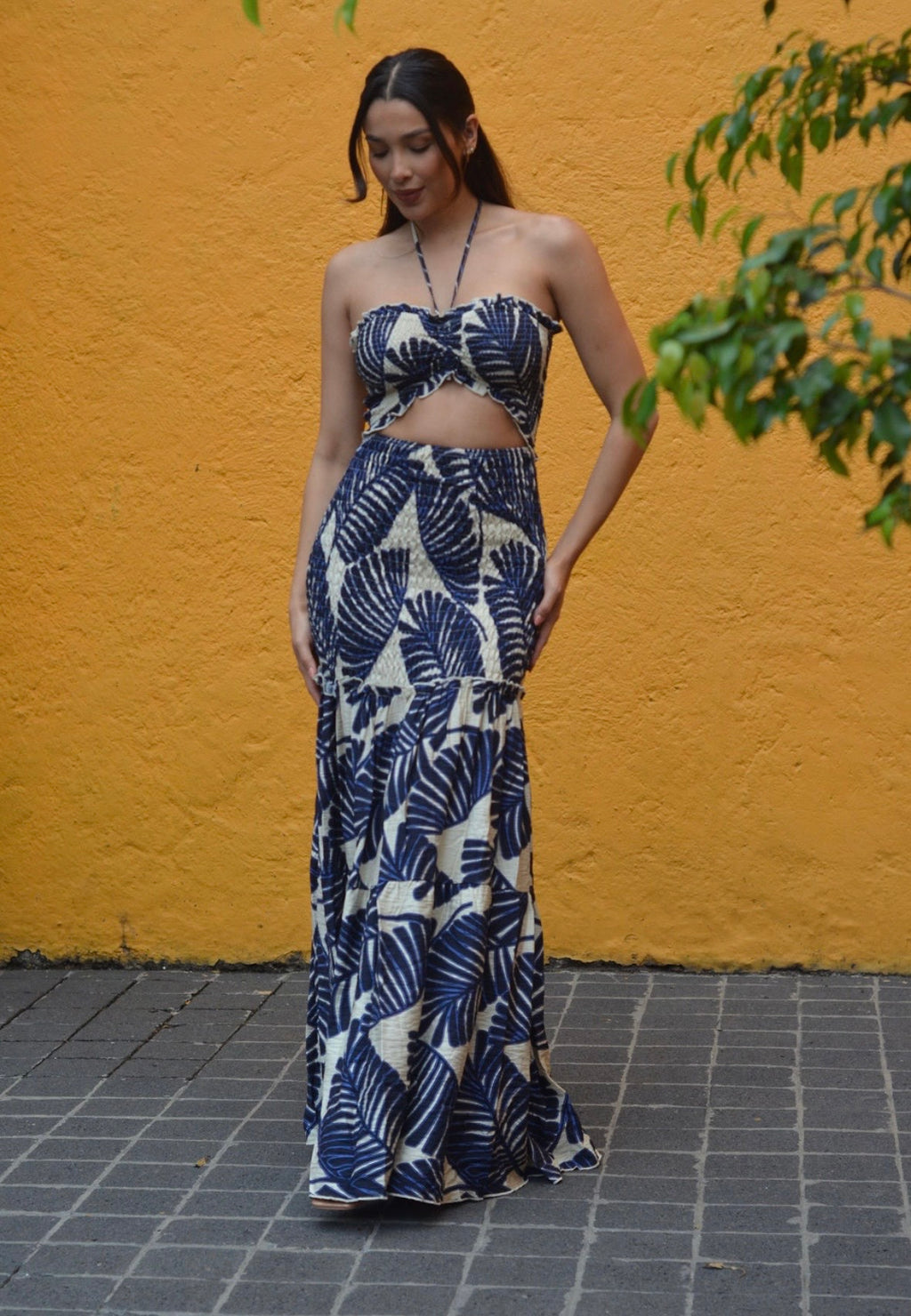 PALMERA