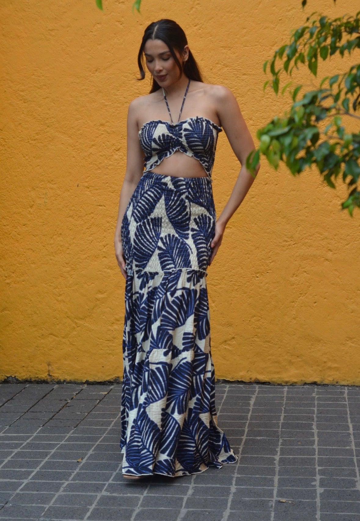 PALMERA