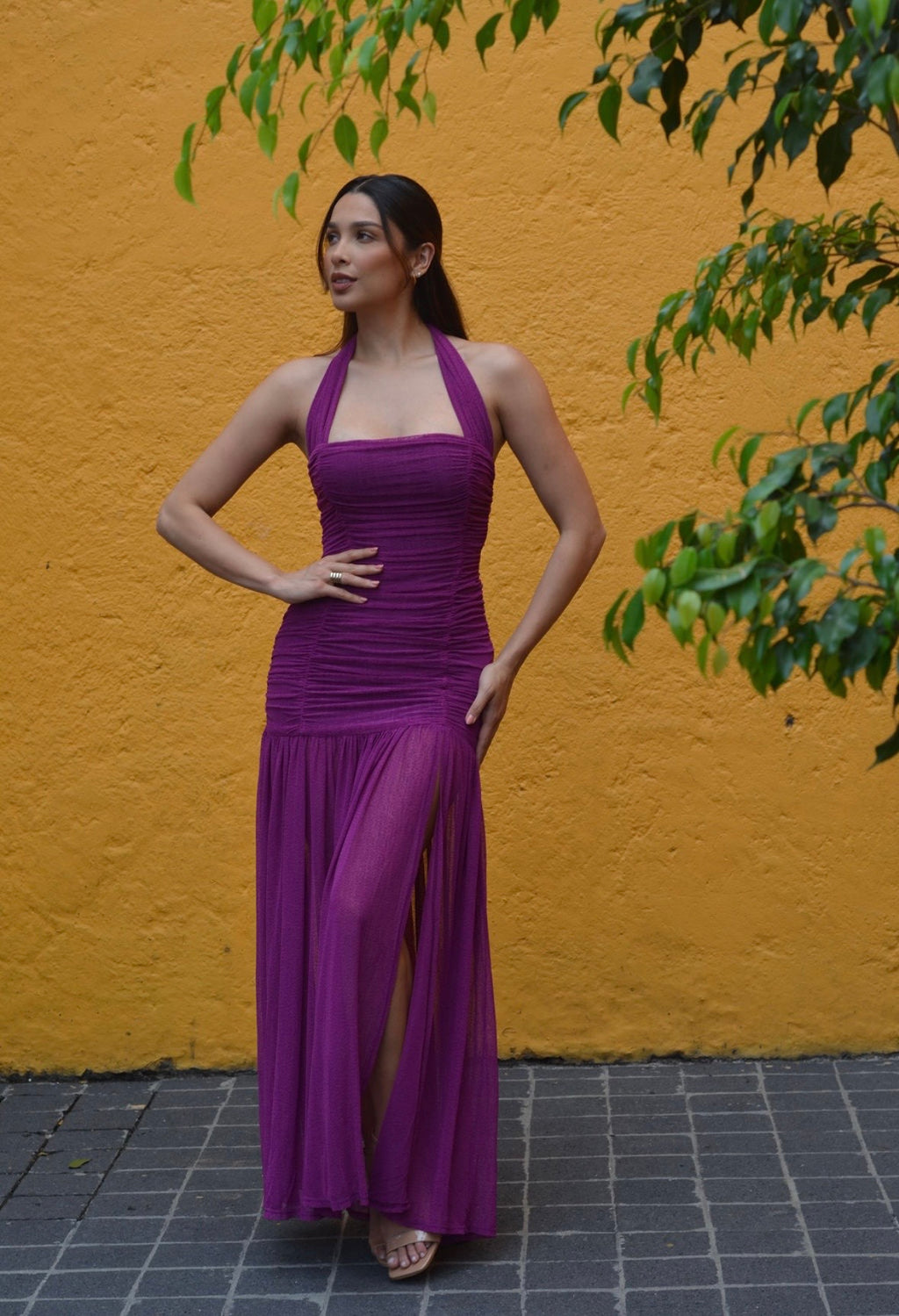 VIOLETA